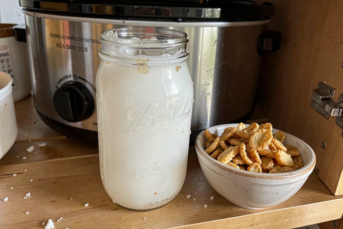 Glass mason jar of rendered white beef tallow on a wooden table next to a small bowl of crispy golden cracklings